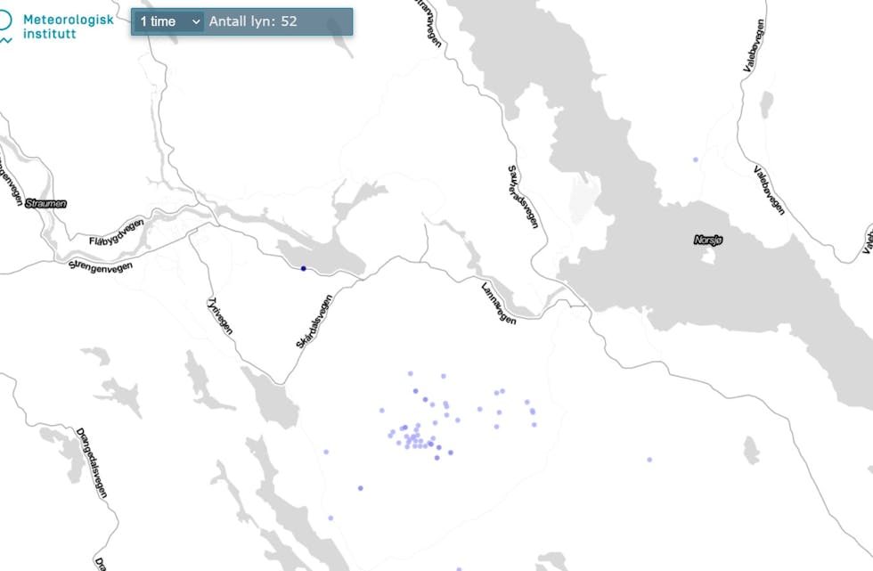 Kartutsnitt fra lyn.met som viser hvor lynnedslagene i Nome er registrert. 