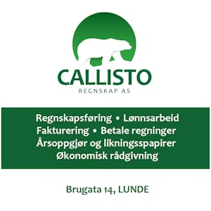 Callisto Regnskap