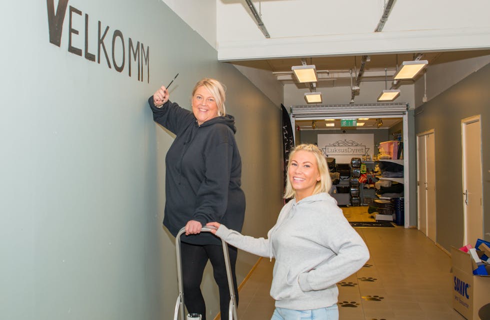 Tonje Vibeto og Katrine E. O. Snaunes klargjør veggen som snart skal dekkes med bilder av 98 kjæledyr. Lørdag morgen avdukes LuksusDyrets Wall of Fame der de firbente stamkundene er avbildet. 