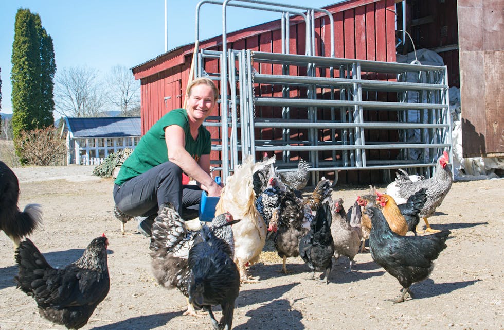 Elsker livet på gården, men er bekymret: Anita Høidalen mener hun har verdens beste jobb. Likevel er hun bekymret for framtida til landbruket og ser ikke hvordan barna skal kunne drive videre, uten ny politisk vilje.