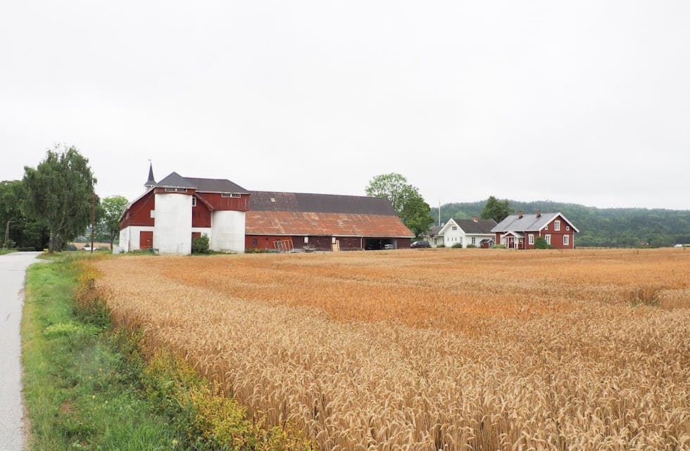 Slik ser det ut i dag: Låven på Holla gård med kornsiloer og eldre tilbygg. 