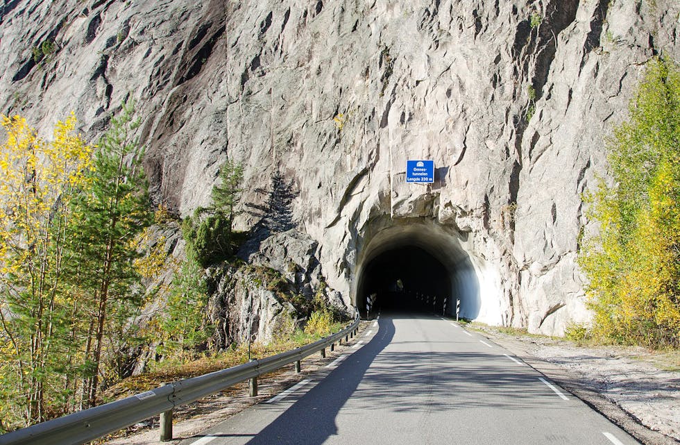 Omnestunnelen foto Peter Fiskerstrand - wiki