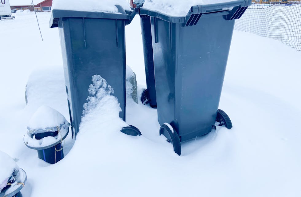 Hvis dine avfallsdunker fryser fast til bakken er det ditt eget ansvar å løsne de slik at IATAs mannskap får tømt søppelet. 
