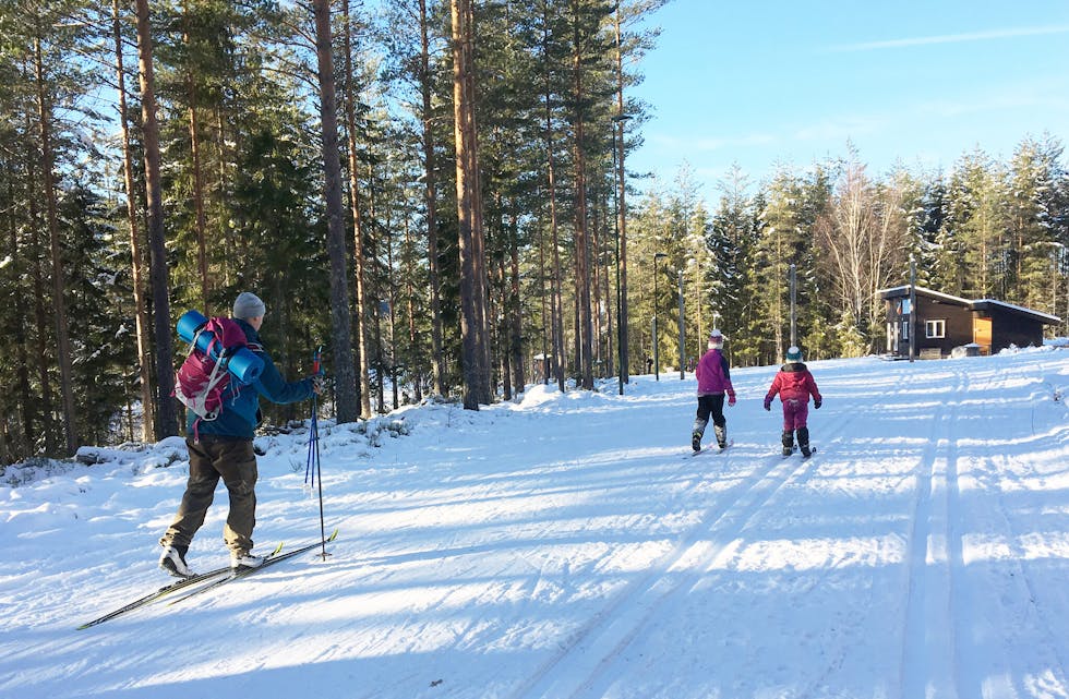 Førstkommende søndag er det klart for vinterens "Kom deg ut-dag". Barnas Turlag Nome og IL Skade inviterer til aktivitet for hele familien på Sagamoen.