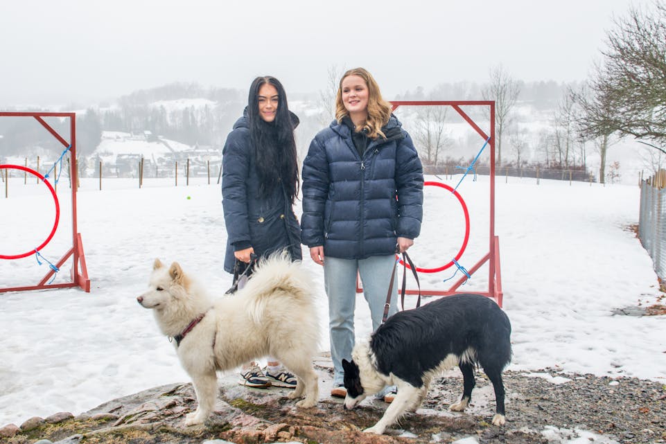 Vår Kjellemyr og Maren Bjerke fra VG2 Dyrefag på Nome videregående gleder seg til å lære bort noen tips og triks til Nomes hundeeiere. Nå håper de at snøen på treningsbanen er borte til 18. april, for da inviterer klassen til kurs. Her med samojedhunden Nova og border collien Freija. 
