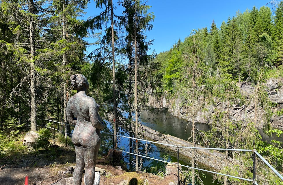 ÅPNER SNART FOR PUBLIKUM: Dette er bare en av installasjonene, som skal utgjøre skulpturskogen ved Vrangfoss sluser.  Det er kunstneren Ferdinand Wyller som har laget skulpturene, som nå begynner å komme på plass i terrenget. 18. juni blir det åpning av parken 