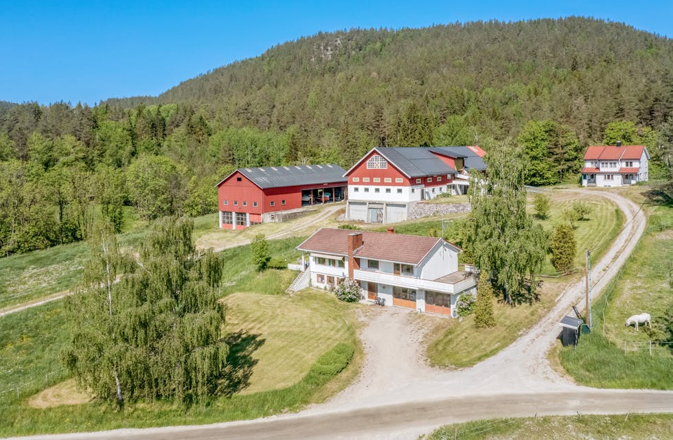 SELGES: Gården Lundtveit med drøye 1100 mål inn- og utmark, to bolighus, jakt og fiskerett ligger nå ute for salg.