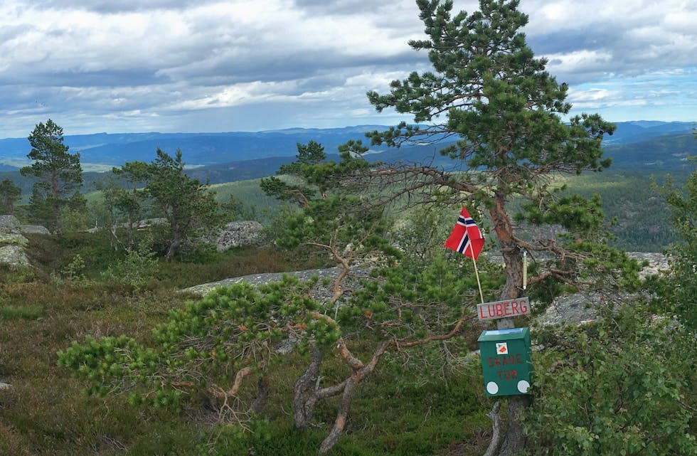 Luberg er en av toppturene som gir full pott og 50 poeng i Gulltrimmen. (Foto: Hege Dorholt)