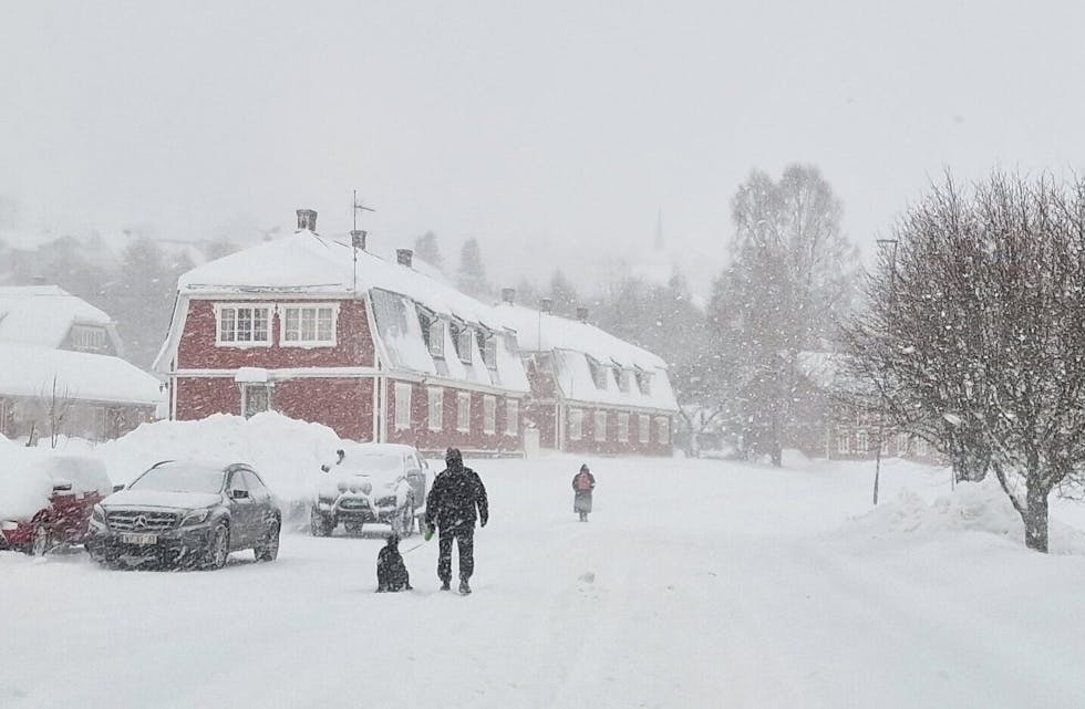 Snøvær og vind gir store utfordringer for fremkommelighet. De som likevel tar sjansen må belage seg på at ting tar tid. Bildet er fra Ulefoss sentrum.