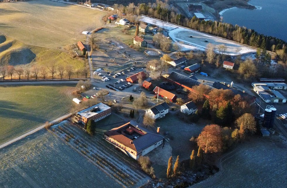 Gården her på Søve fikk i slutten av januar beskjed fra Mattilsynet, om at en storfebesetning fikk såkalt båndlegging. 