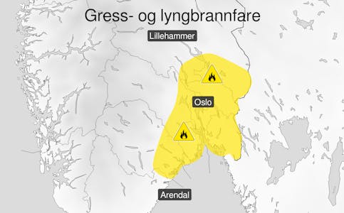 Det er utstedt gult farevarsel om skogbrann på deler av Østlandet denne uka (illustrasjonskart fra Meteorologisk institutt).