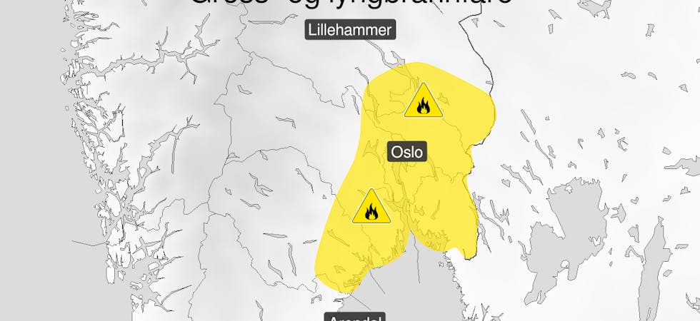 Det er utstedt gult farevarsel om skogbrann på deler av Østlandet denne uka (illustrasjonskart fra Meteorologisk institutt).